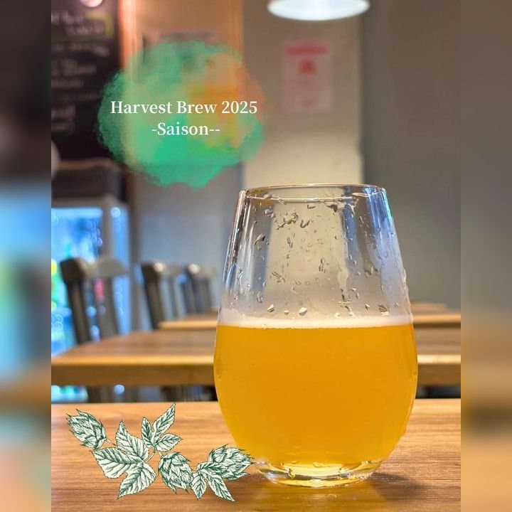 ビール画像
