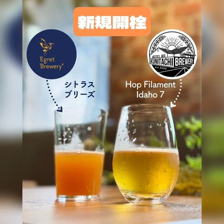 ビール画像