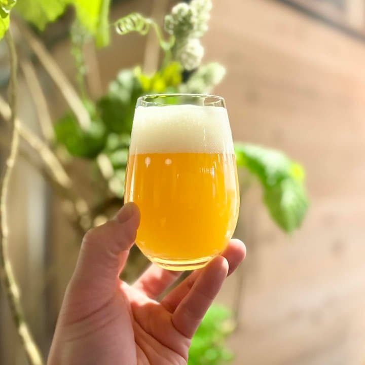 ビール画像